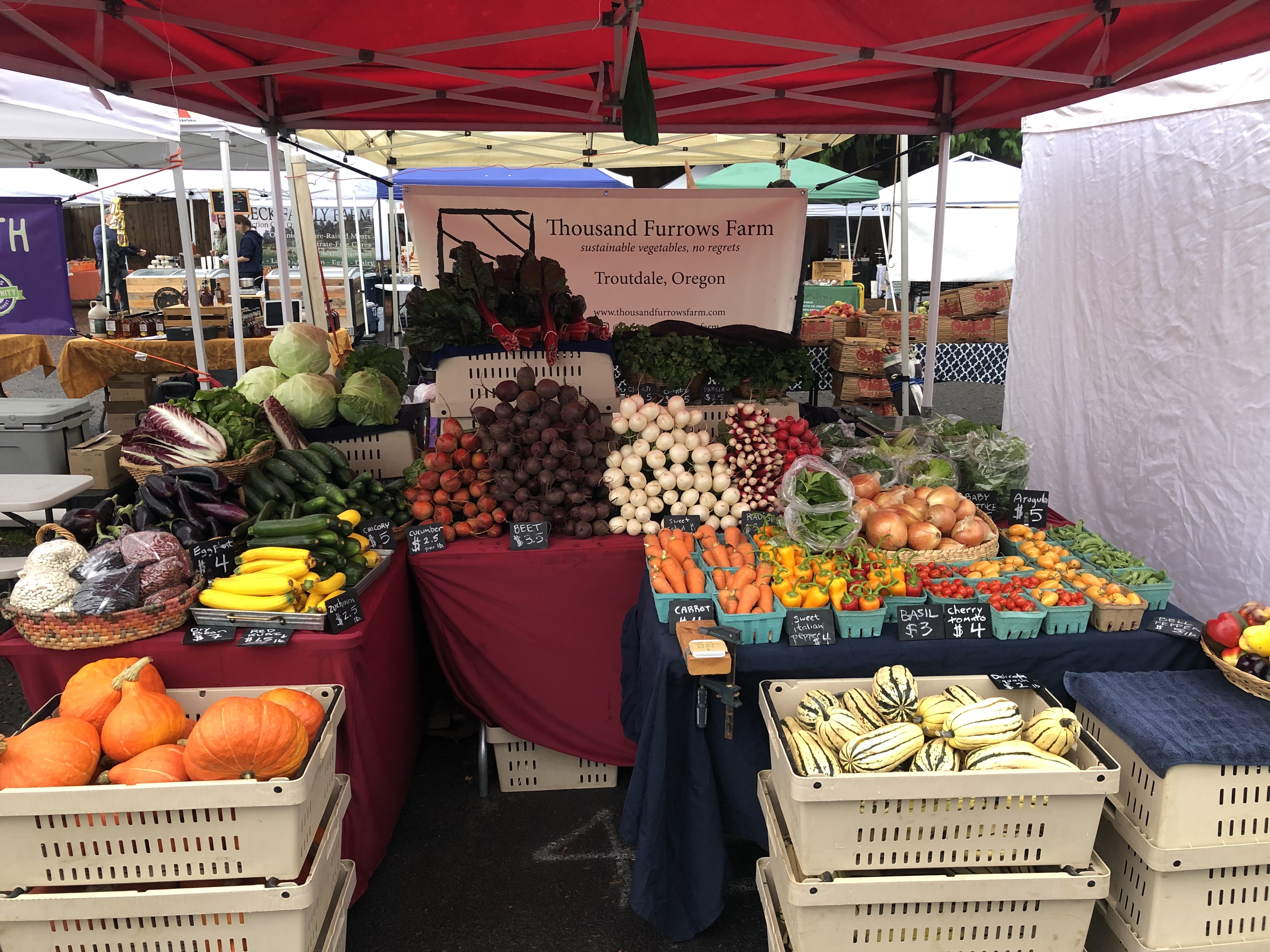 The fall market stand.