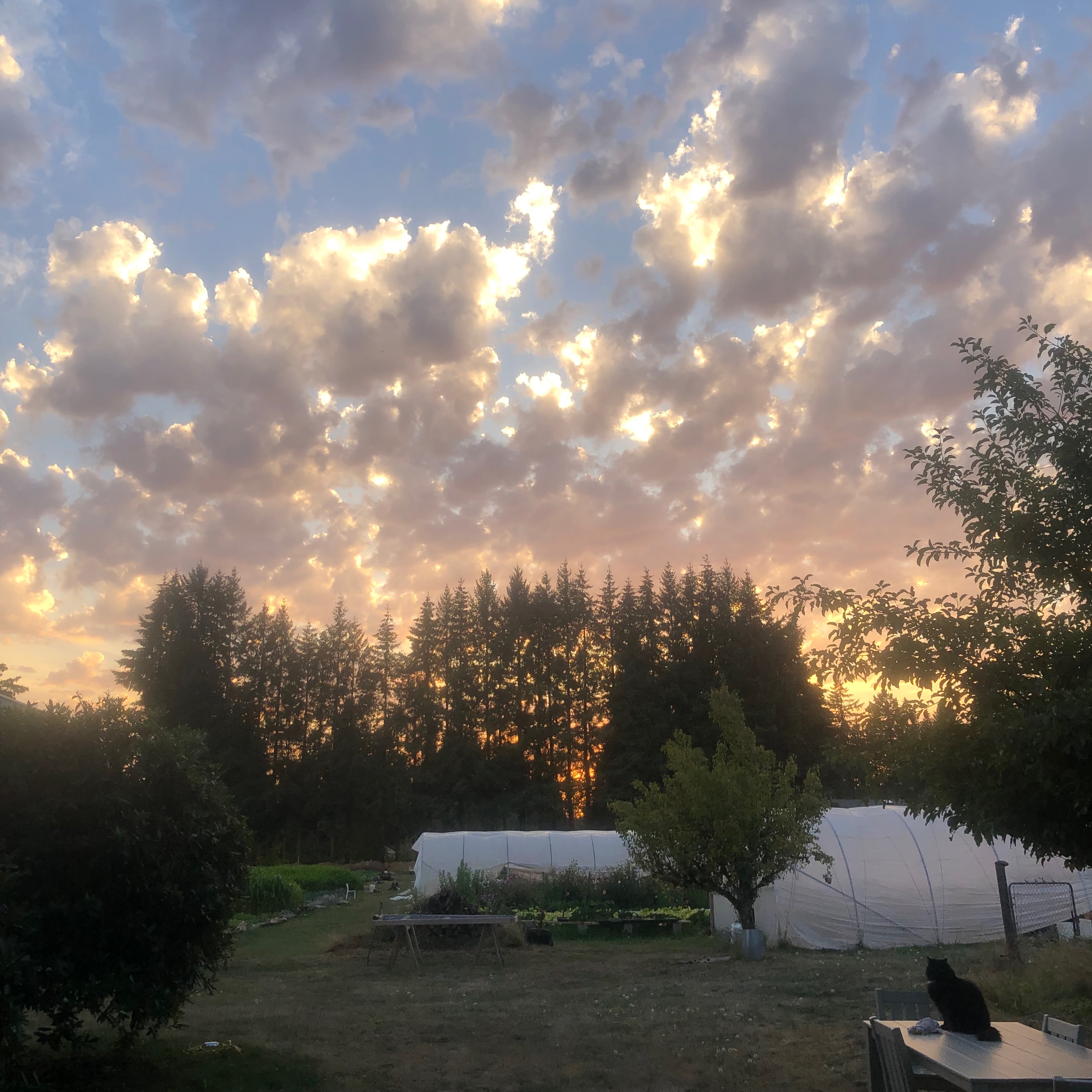 Night sky over the farm.