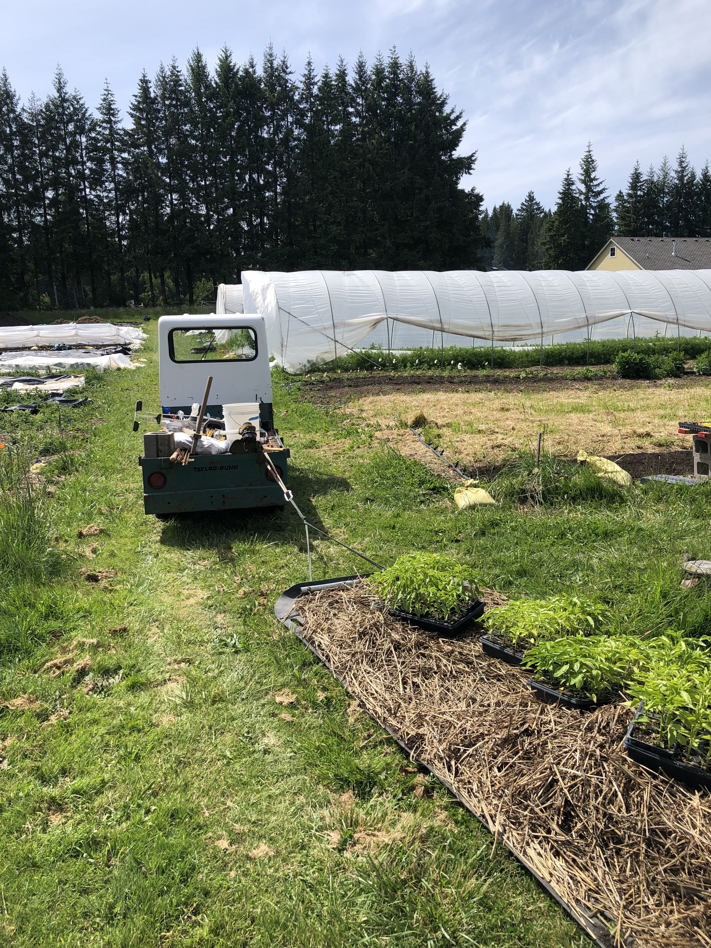 Getting lots of work done with my electric truck. Imagine me hauling this all around by hand, in a wagon or wheelbarrow. I questioned this purchase, but do not regret it.